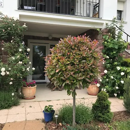 Apartman Levendula